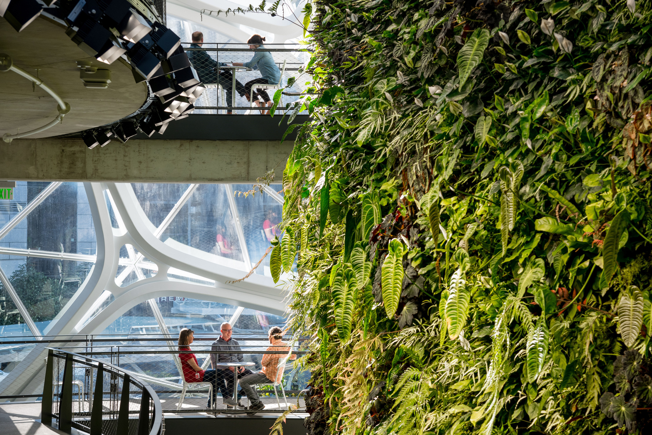 Dichte Pflanzenlandschaft unter der Glaskuppel der Amazon Spheres